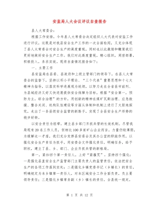 安监局人大会议评议自查报告