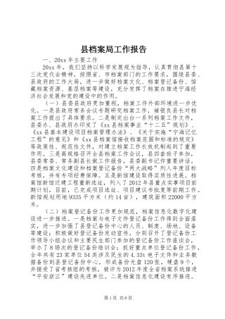 县档案局工作报告 