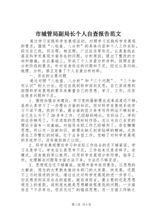 市城管局副局长个人自查报告范文 