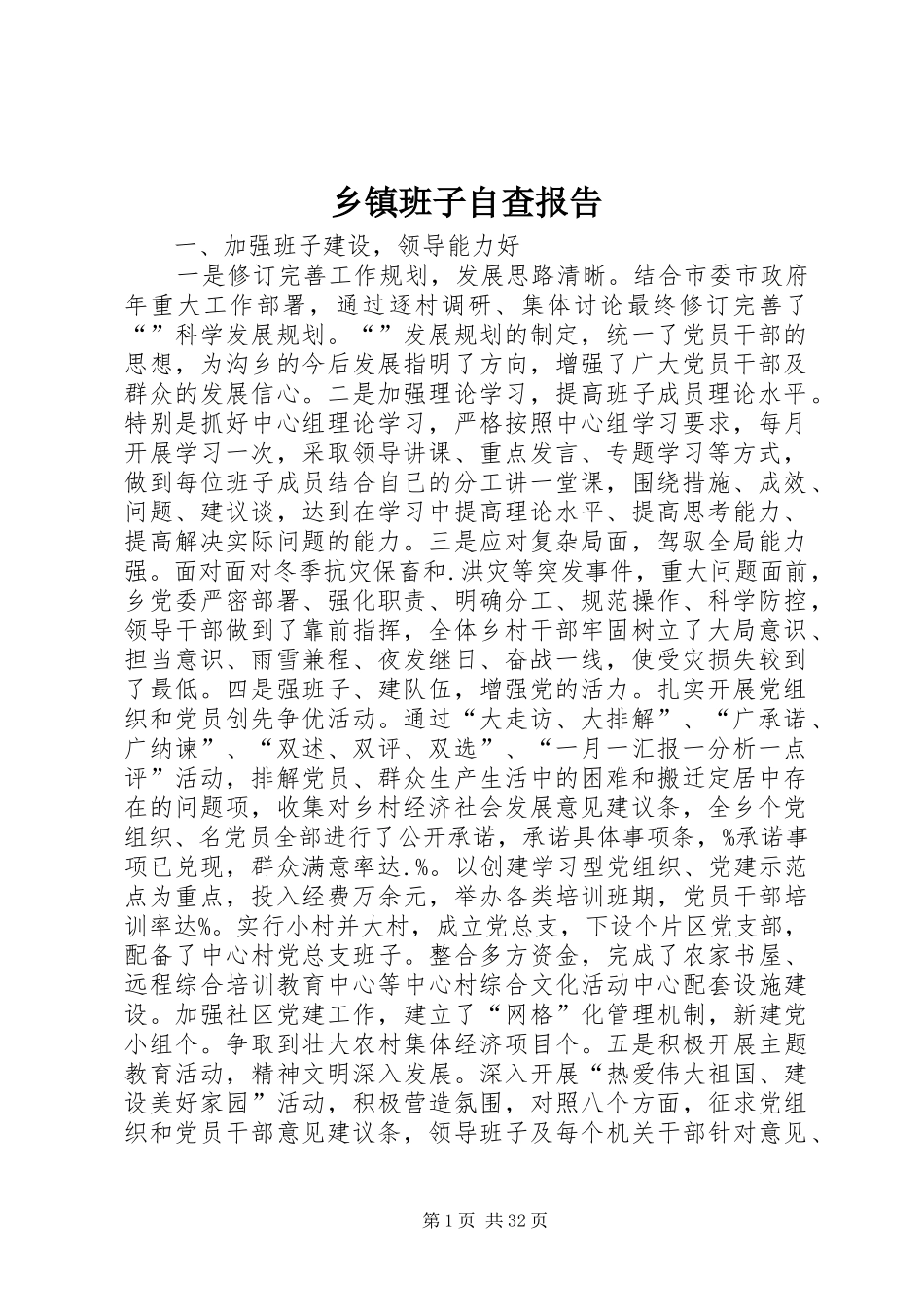 乡镇班子自查报告 _第1页