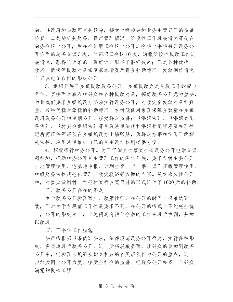 2024年上半年民政局政务公开工作总结范文_第3页