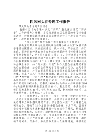 四风回头看专题工作报告 