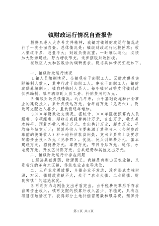 镇财政运行情况自查报告 