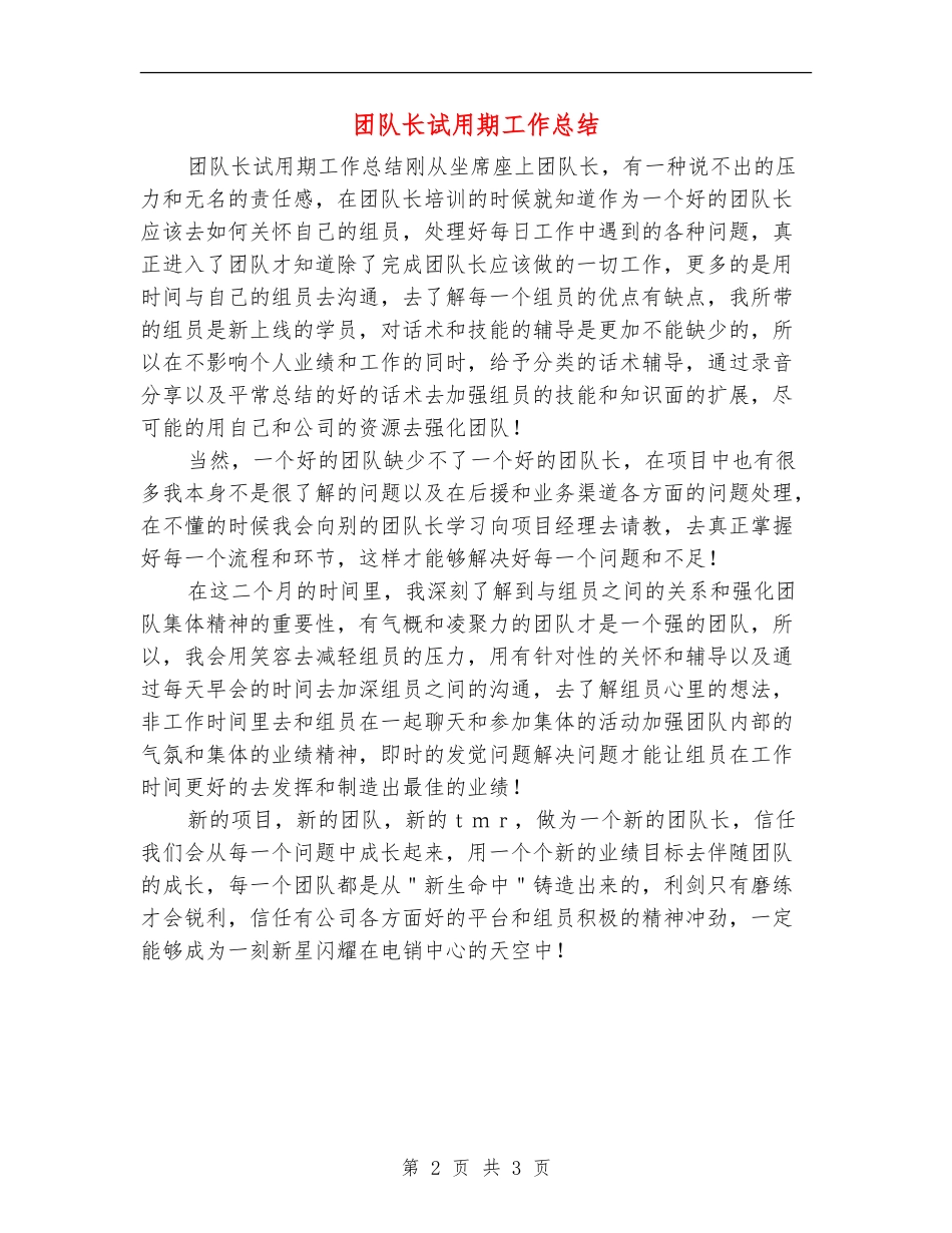 团队长试用期工作总结_第2页