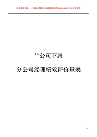 王家荣-分公司总经理经理绩效评价量表