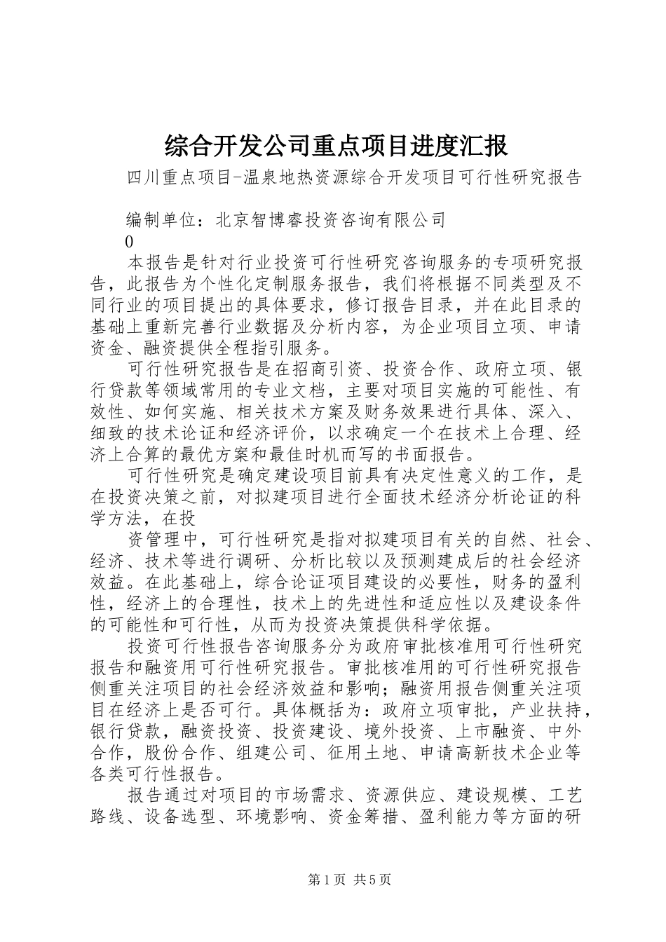 综合开发公司重点项目进度汇报 _第1页