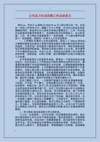公司见习生试用期工作总结范文