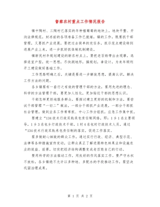 督察农村重点工作情况报告