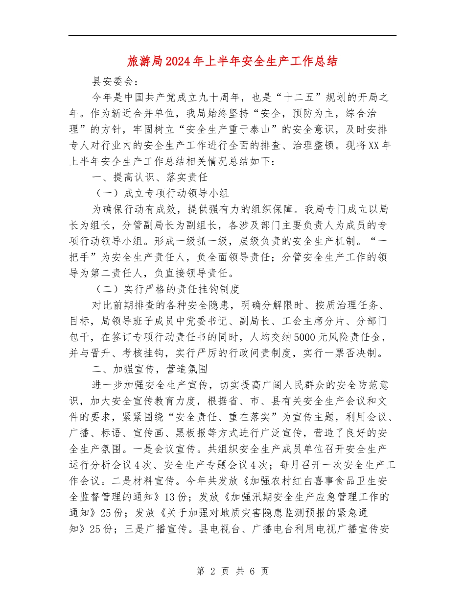 旅游局2024年上半年安全生产工作总结_第2页