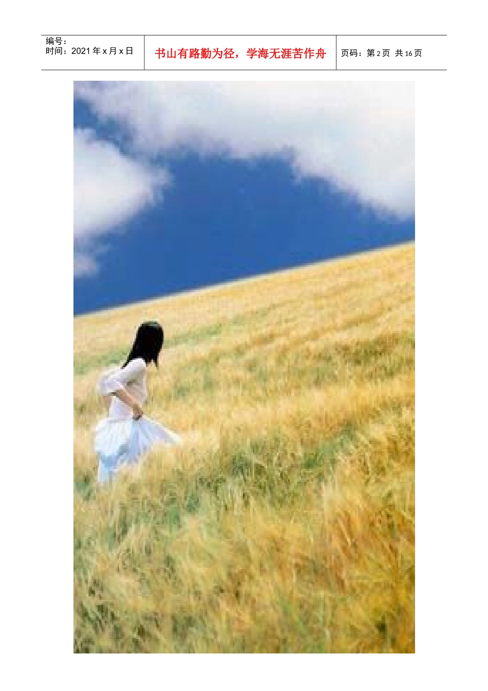 职业生涯规划书 【电子商务 胡翠蕾】_第2页