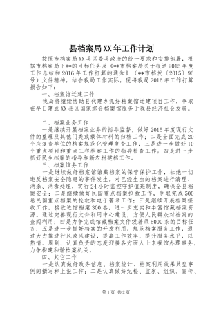 县档案局XX年工作计划