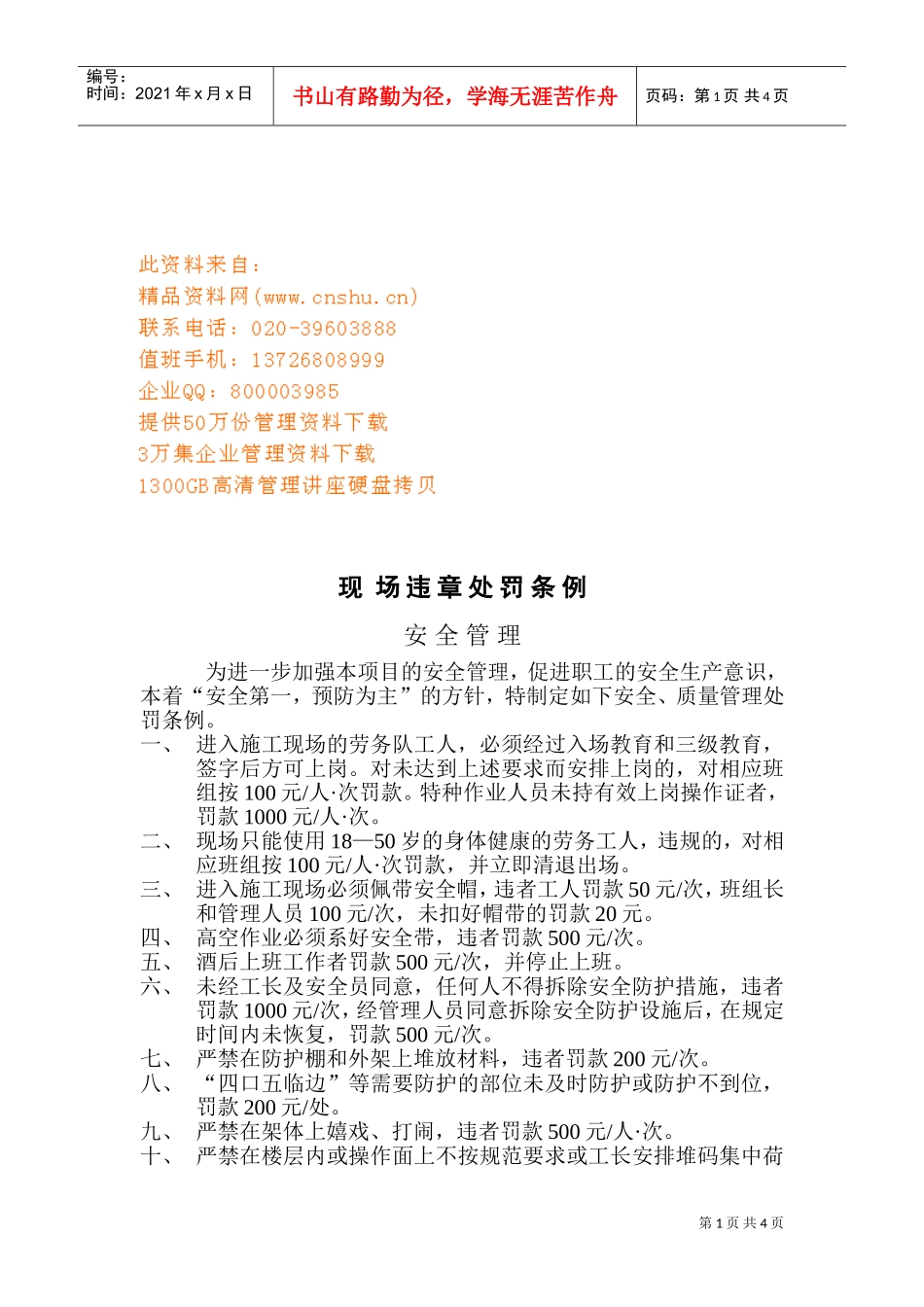 现场违章处罚制度_第1页