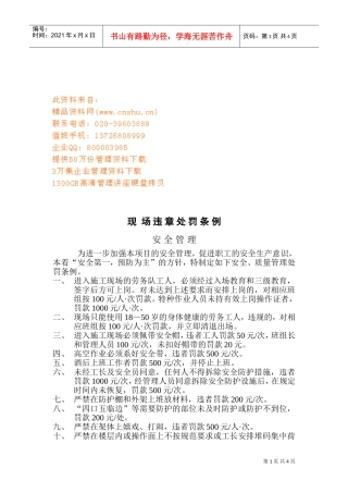 现场违章处罚制度