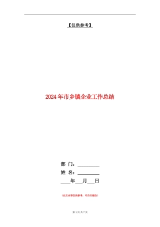 2024年市乡镇企业工作总结