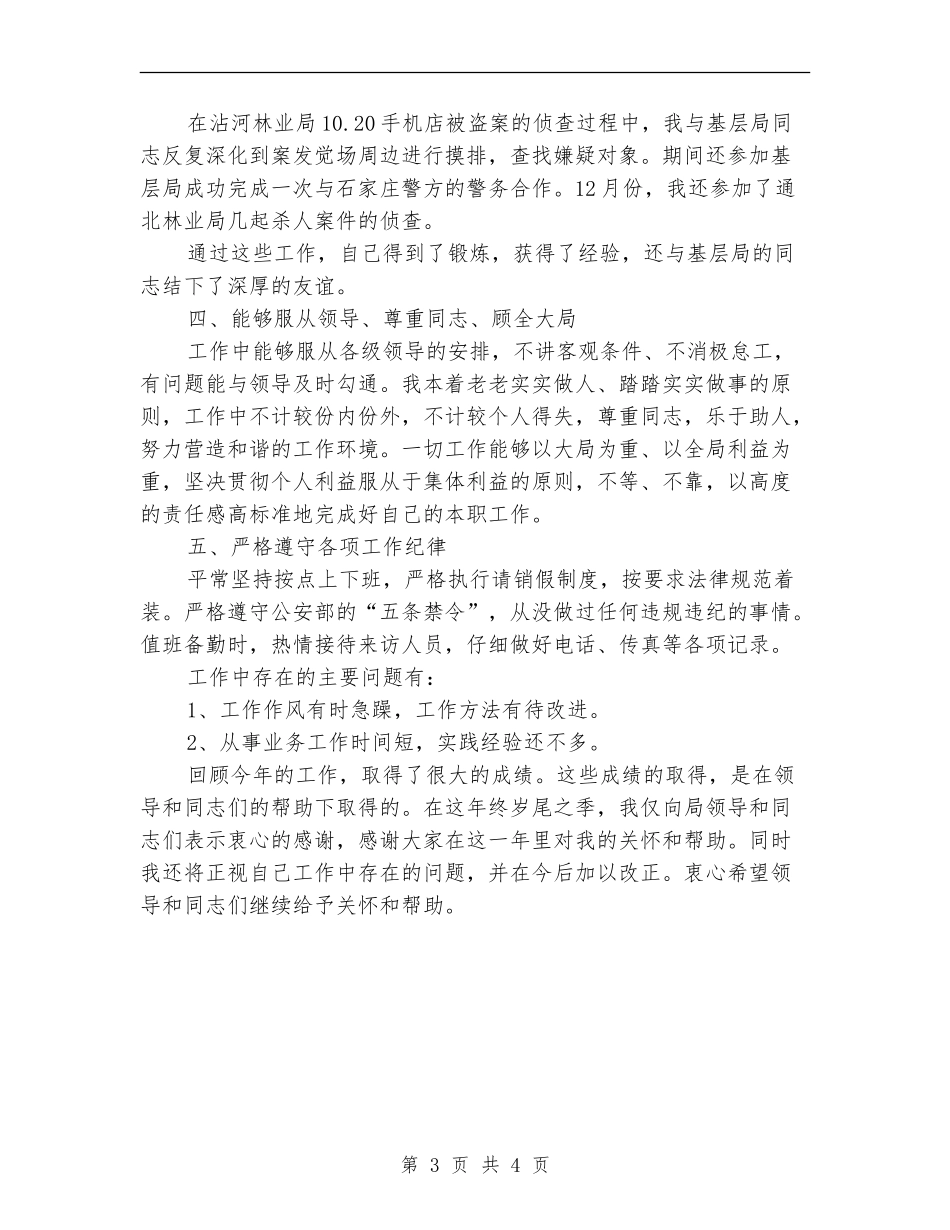 公安机关年度工作总结_第3页