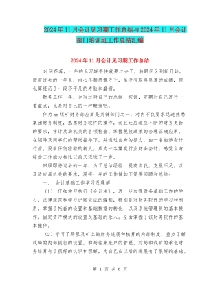 2024年11月会计见习期工作总结与2024年11月会计部门培训班工作总结汇编