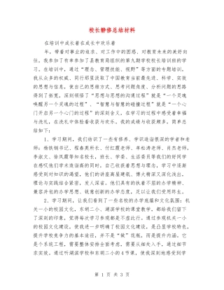 校长静修总结材料