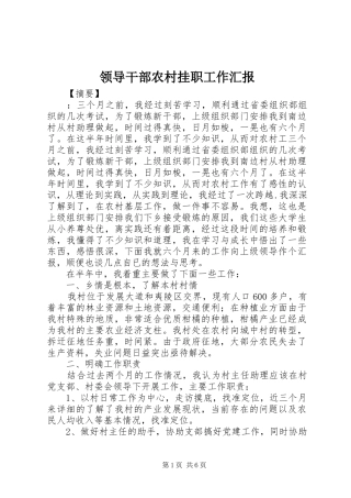 领导干部农村挂职工作汇报 
