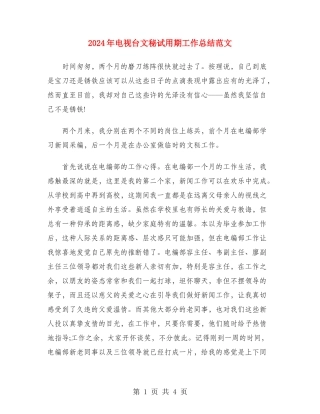 2024年电视台文秘试用期工作总结范文