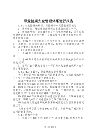 职业健康安全管理体系运行报告 