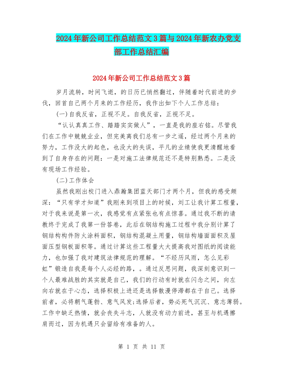 2024年新公司工作总结范文3篇与2024年新农办党支部工作总结汇编_第1页