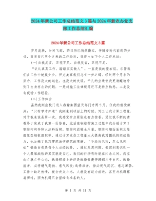 2024年新公司工作总结范文3篇与2024年新农办党支部工作总结汇编
