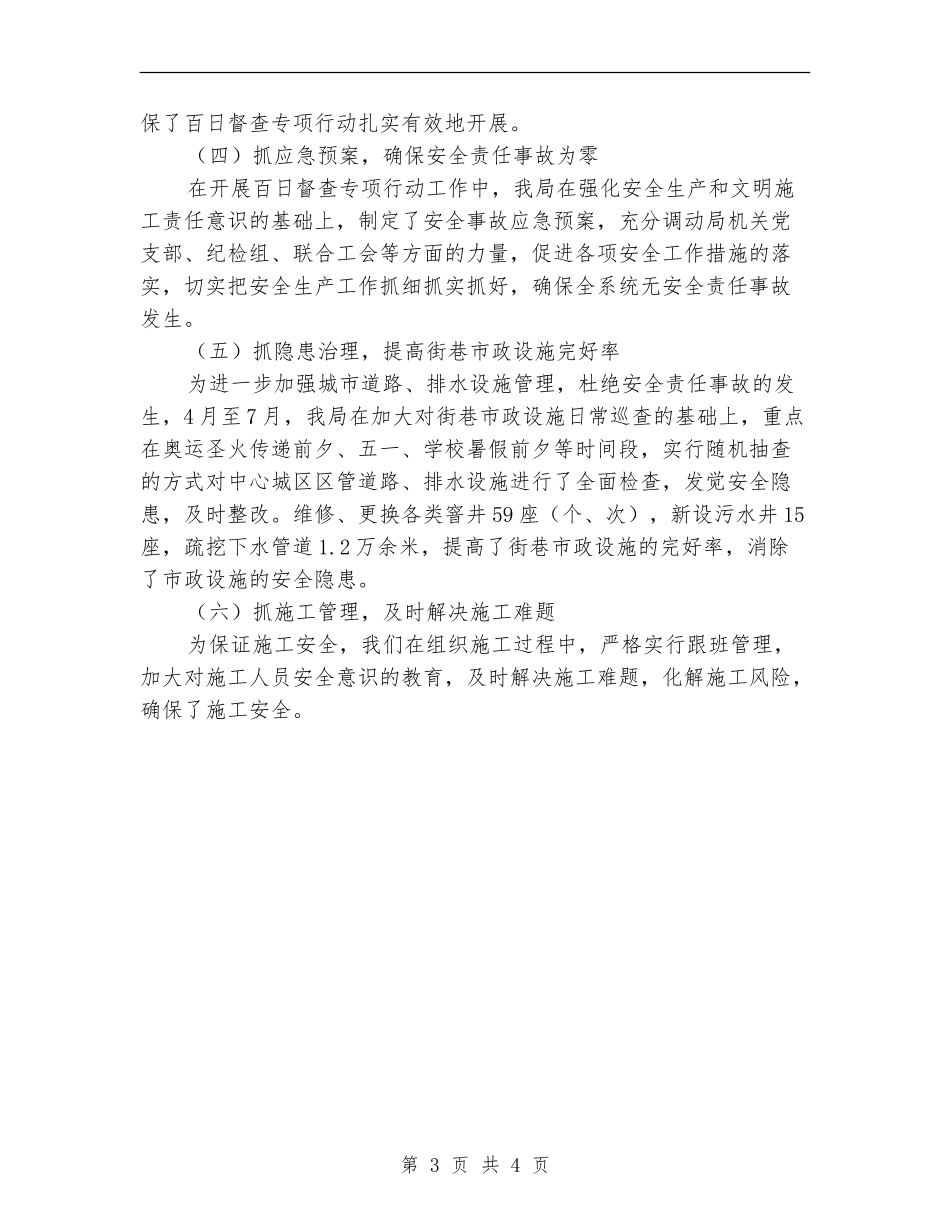 安全生产百日督查专项行动工作总结_第3页