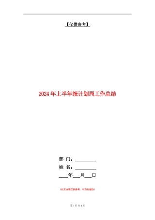 2024年上半年统计划局工作总结
