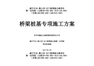 桥梁桩基础专项施工方案培训资料