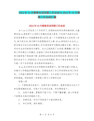2024年10月销售员试用期工作总结与2024年10月销售工作总结汇编