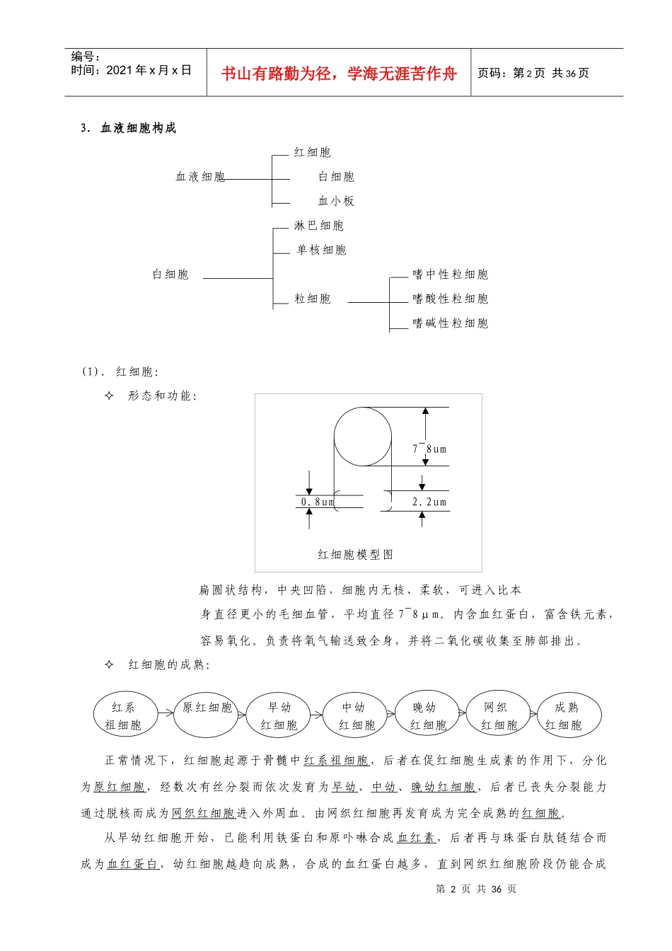 血常规基础培训_第2页