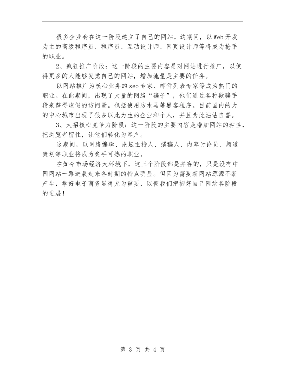 电商运营个人工作总结报告_第3页