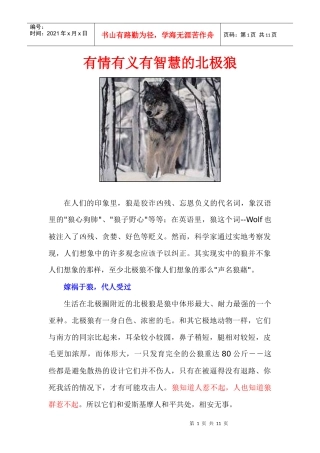 有情有义有智慧的北极狼职场攻略必读