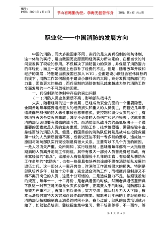 职业化中国消防的发展方向研究