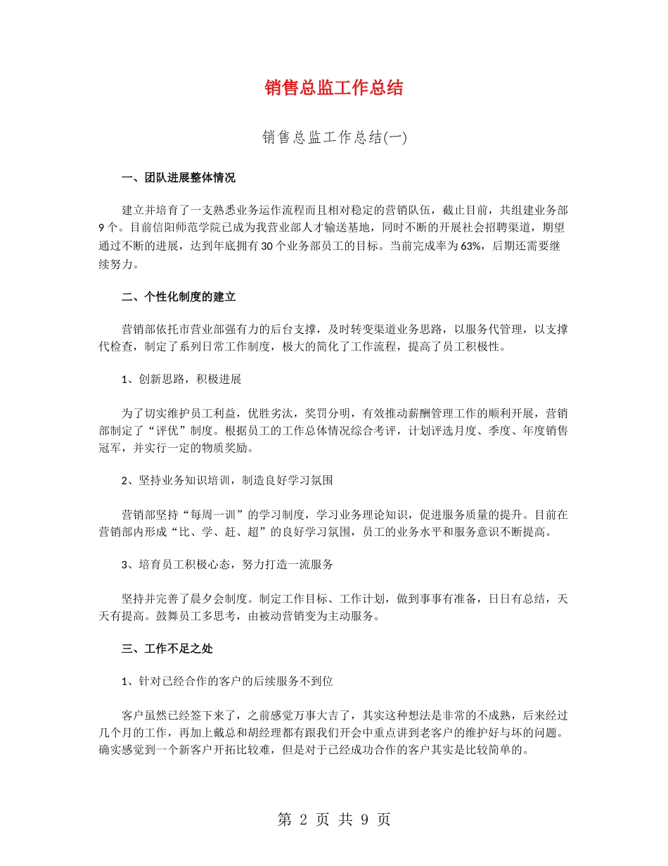 销售总监工作总结_第2页