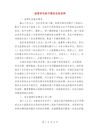 监管单位班子建设总结材料