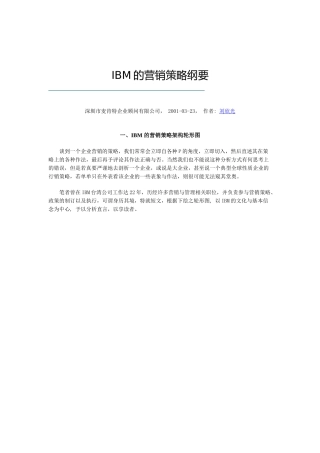 IBM营销策略纲要