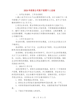 2024年担保公司客户经理个人总结