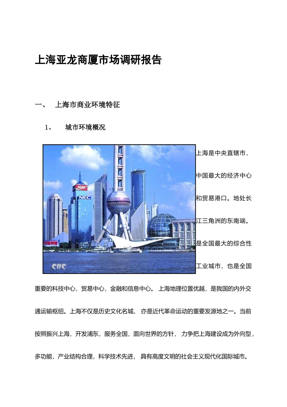 上海某商厦市场调研报告_第1页