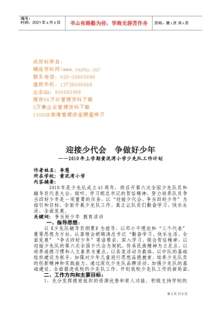 某某小学少先队工作计划