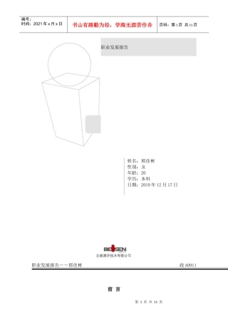职业发展报告