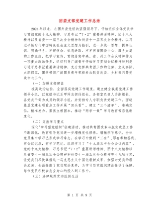 团委支部党建工作总结