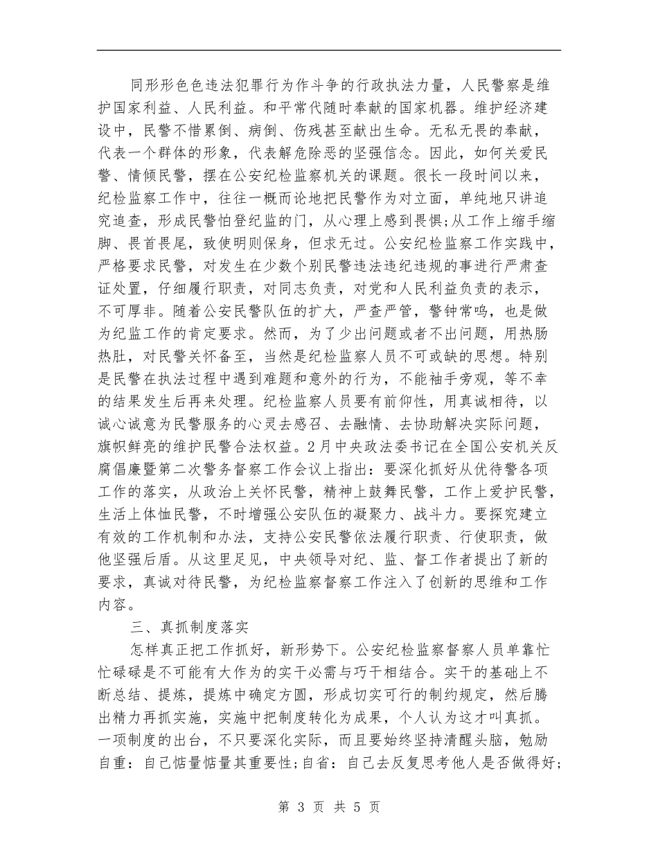 公安纪检2024年工作计划_第3页