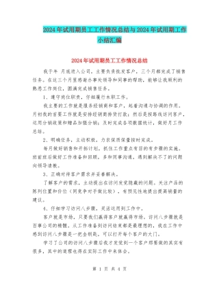 2024年试用期员工工作情况总结与2024年试用期工作小结汇编