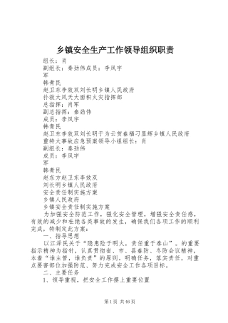 乡镇安全生产工作领导组织职责要求
