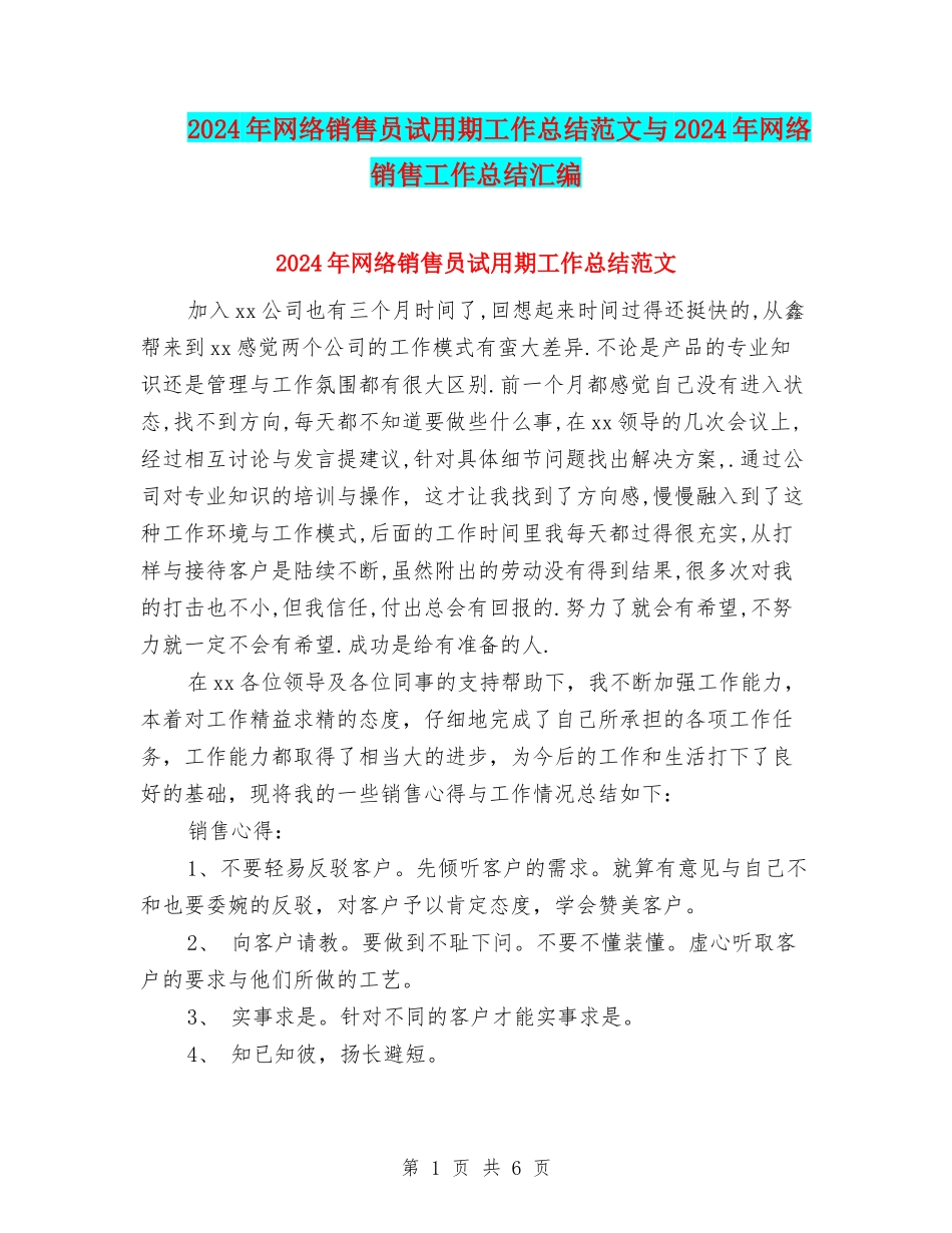 2024年网络销售员试用期工作总结范文与2024年网络销售工作总结汇编_第1页