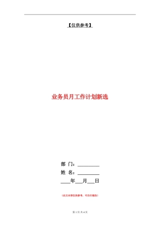 业务员月工作计划新选