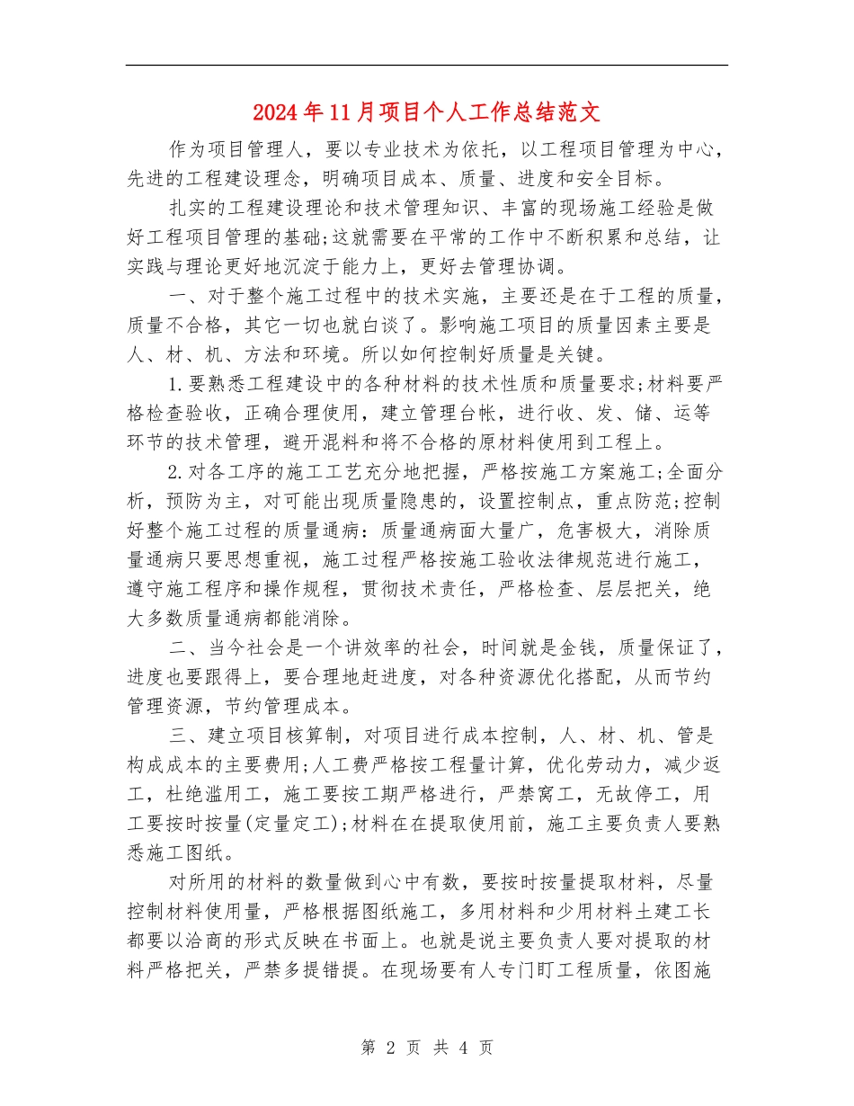 2024年11月项目个人工作总结范文_第2页