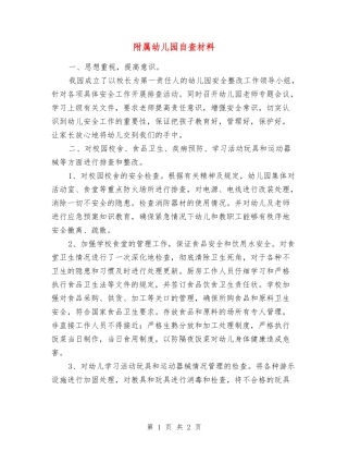 附属幼儿园自查材料