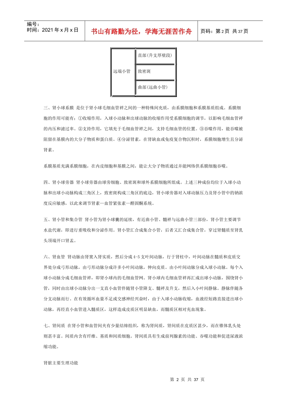 肾脏病学培训资料_第2页